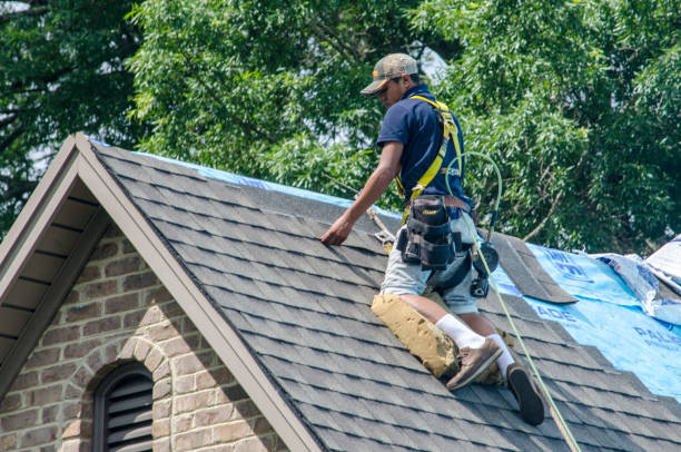 Quick and Trustworthy Emergency Roof Repair Services in Pelion, SC